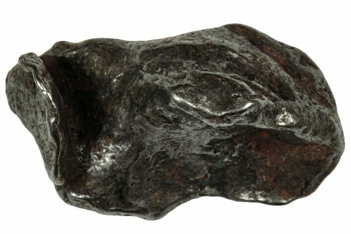 Gebel Kamil Iron Meteorite ( g) - Egypt #302558